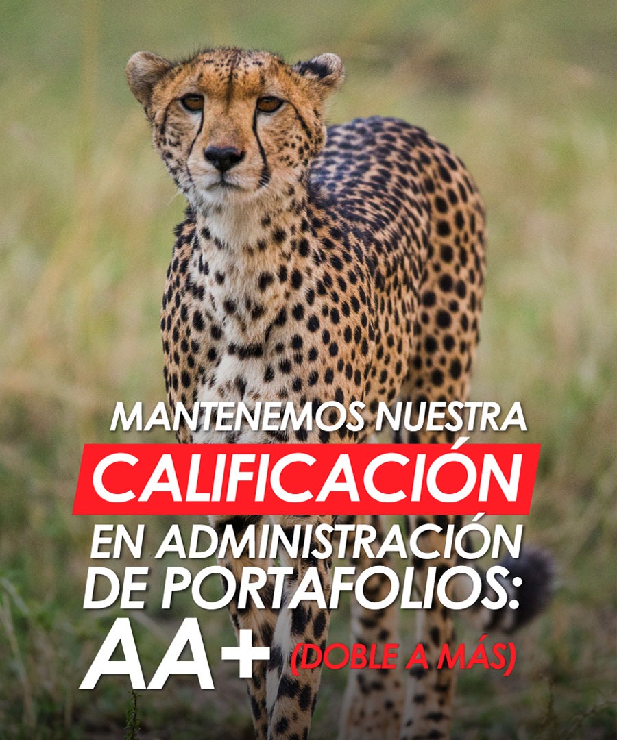 Mantenemos nuestra calificación en administración de portafolios AA+ (Doble o más)